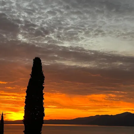 521 Openspace Паи