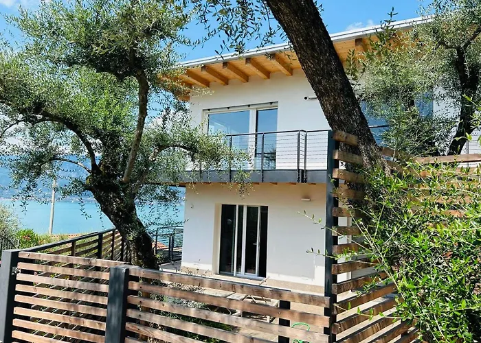 Apartment 521 Openspace